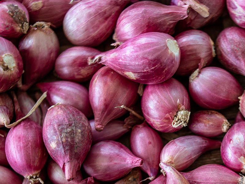 Shallots