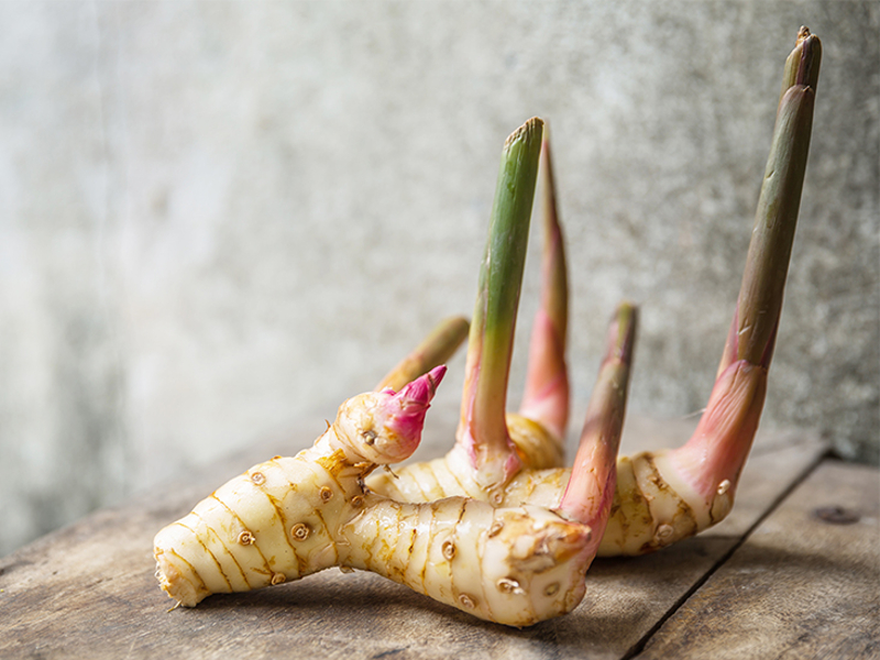 Galangal