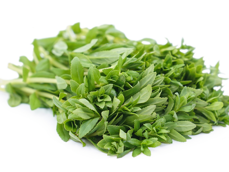 Ma-om (Rice Paddy Herb)