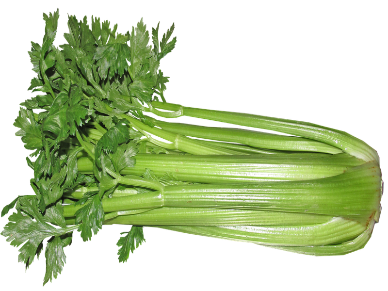 Celery