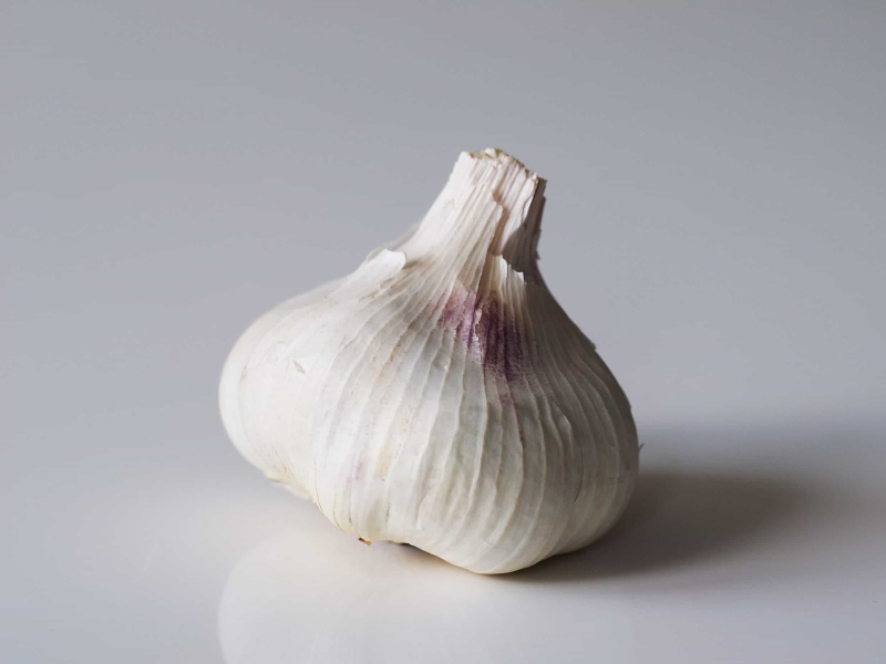 Garlic