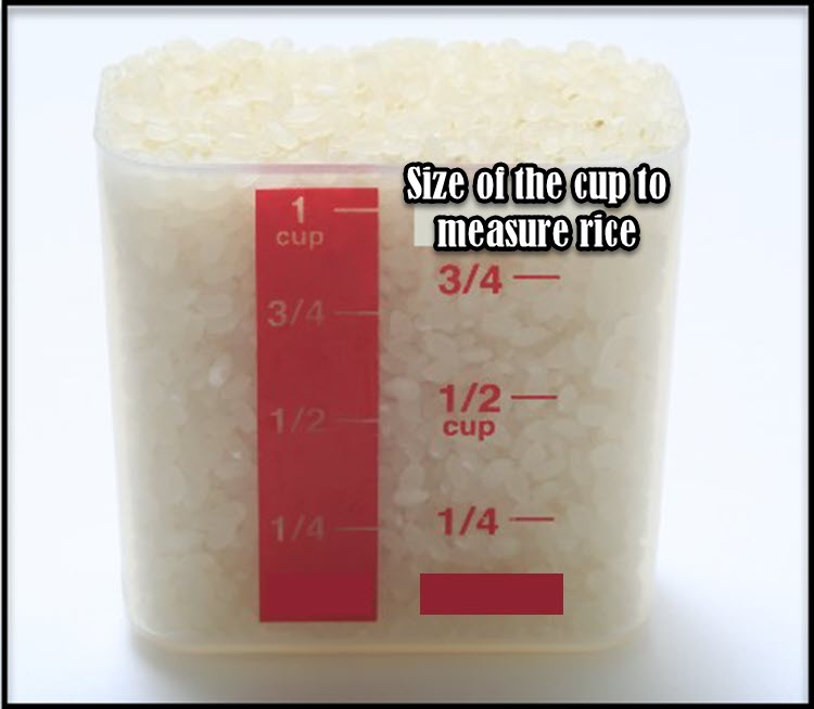 1 cup cooked rice size