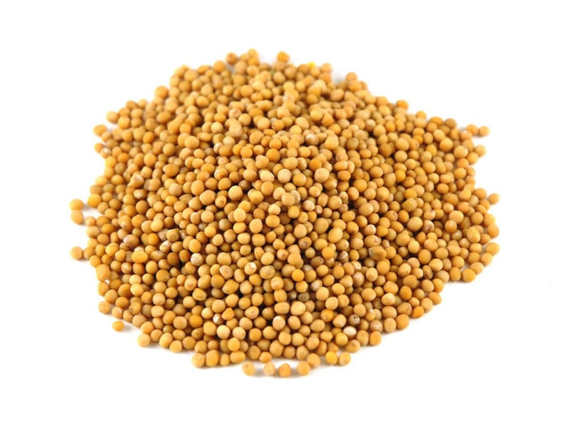 Mustard Seeds