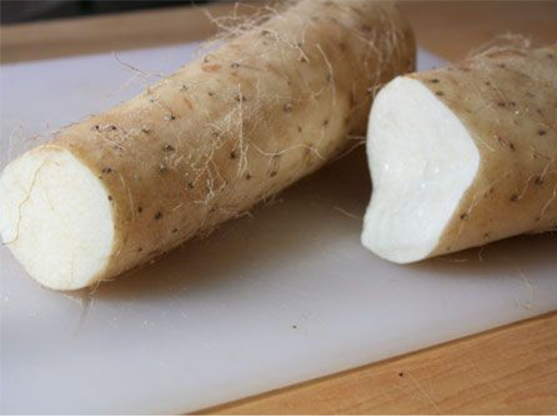 Japanese Mountain Yam