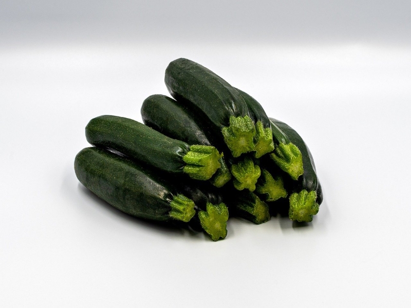 All Green Bush Zucchini