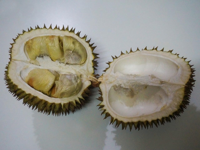 Black Pearl Durian