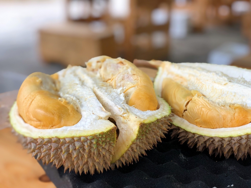 Black Thorn Durian