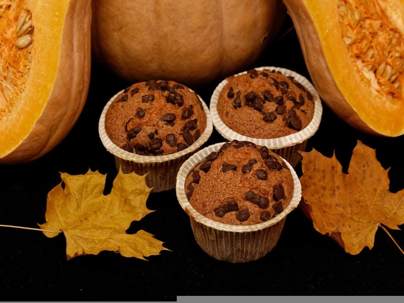 Chocolate Chip Pumpkin Muffin