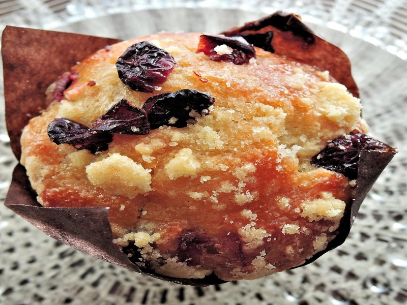 Chocolate Cranberry Muffin