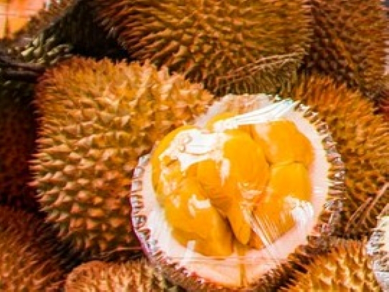 D101 Durian