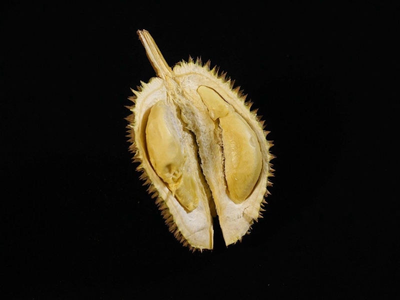 D17 Durian
