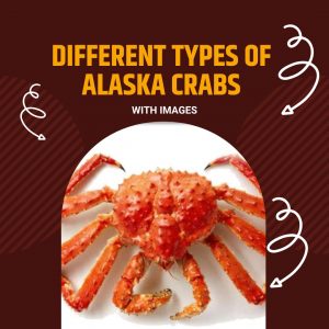 types of alaska crabs