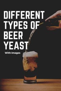 Types Of Beer Yeast