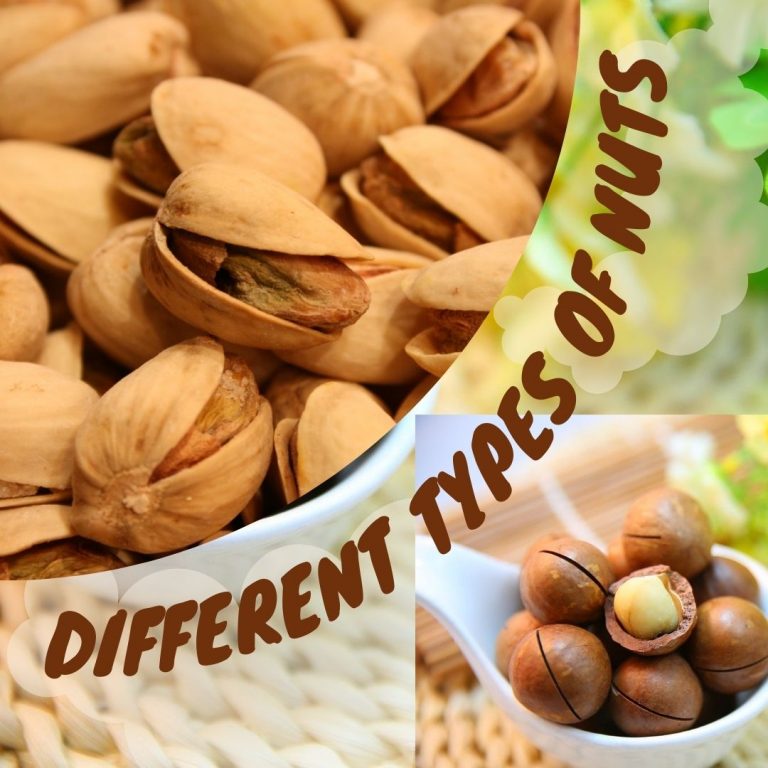 17 Different Types Of Nuts With Images