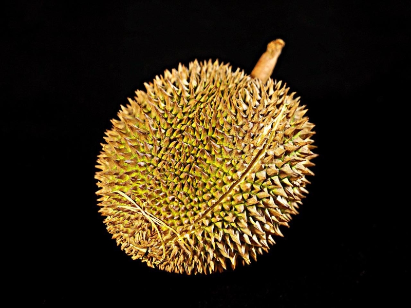 Durian Fruit