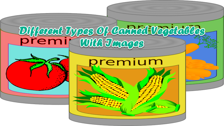 12 Different Types Of Canned Vegetables With Images