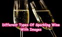 14 Different Types Of Sparkling Wine With Images