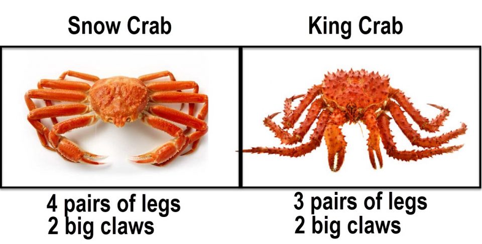 difference-between-snow-crab-vs-king-crab-asian-recipe