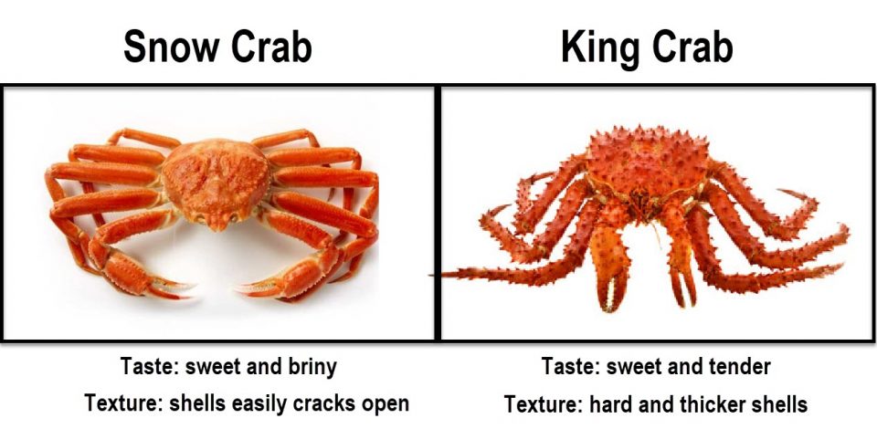 Difference Between Snow Crab Vs King Crab