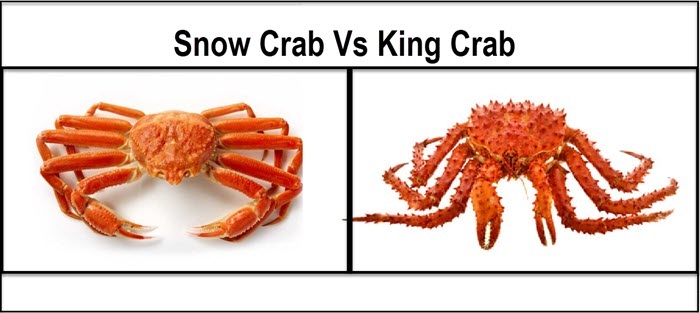 Snow Crab Vs King Crab: How Are They Different?, 50% OFF