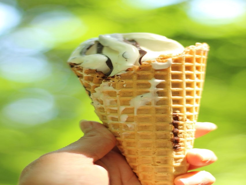 Waffle Cone