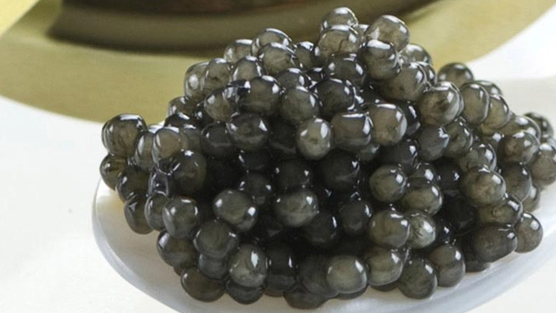 Paddlefish Caviar