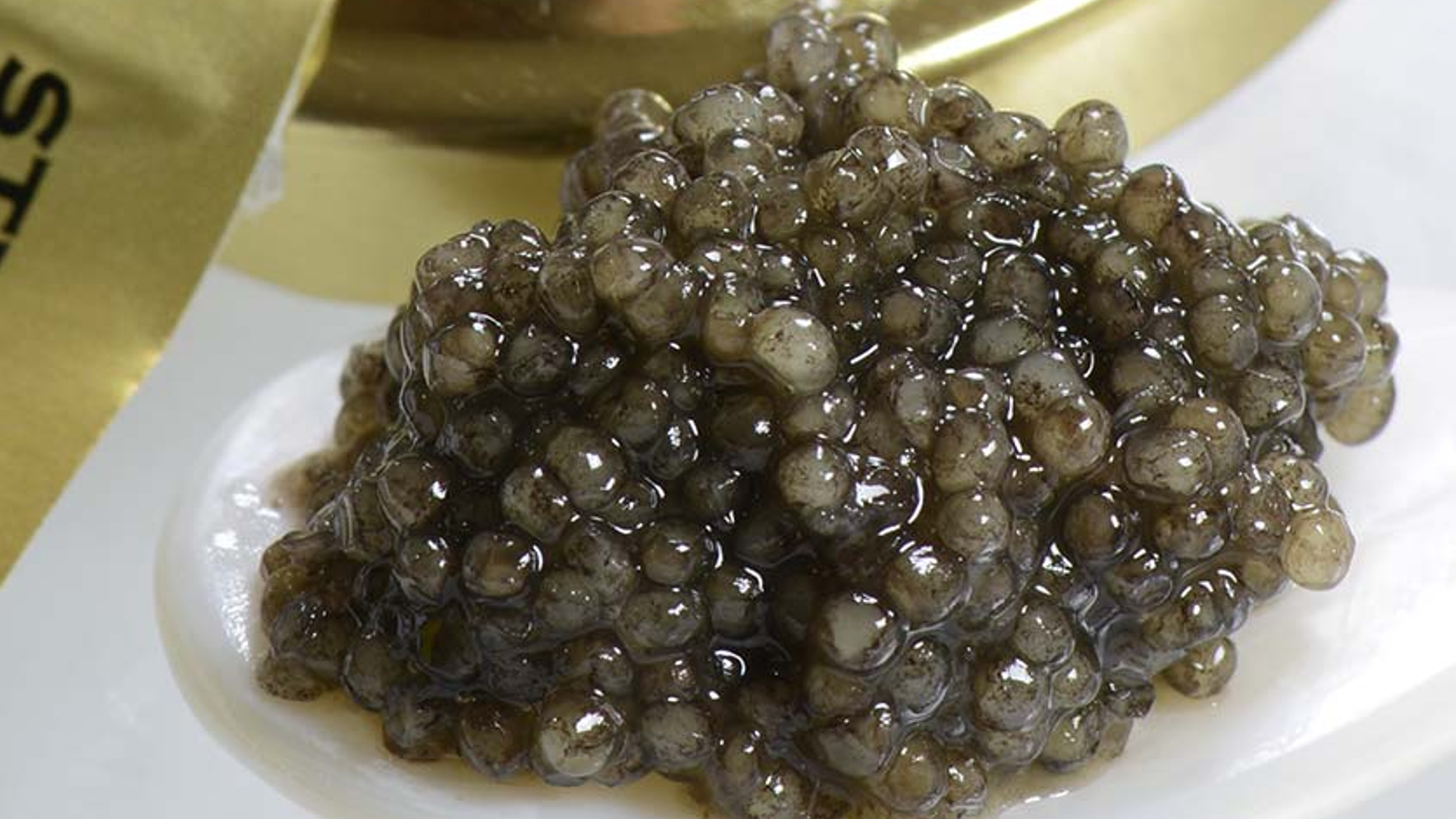 Sterlet Caviar