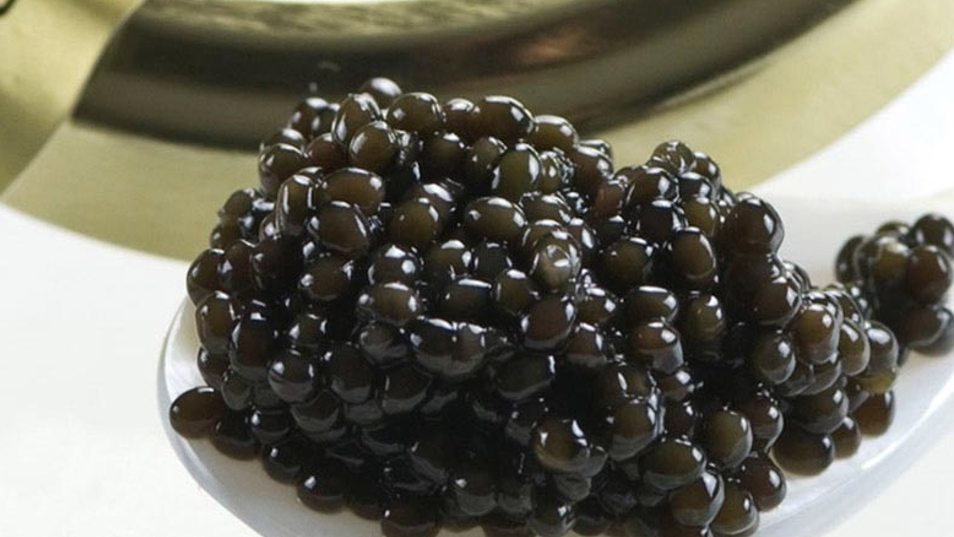 Bowfin Caviar