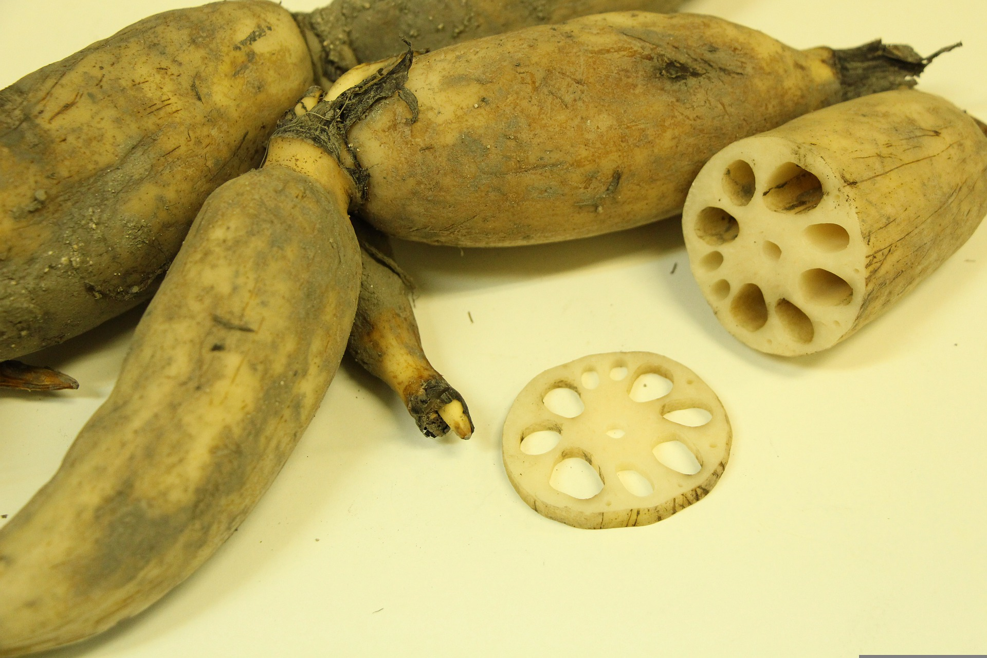 Lotus Root