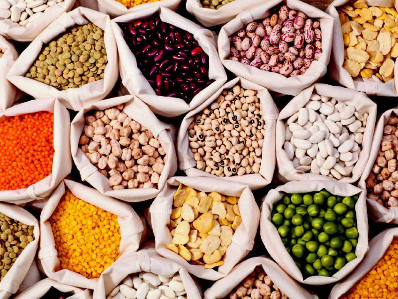 15 Different Types Of Legumes With Images