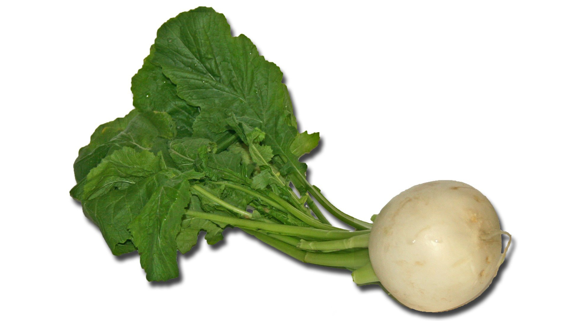 Turnips