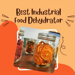 Industrial Food Dehydrator
