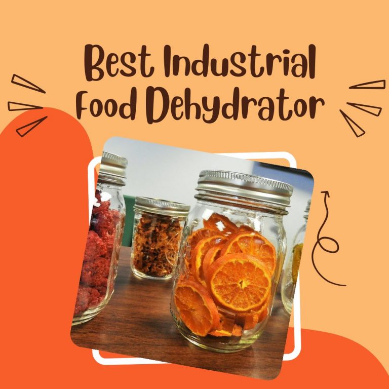7 Best Industrial Food Dehydrator in 2024