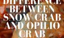 Difference Between Snow Crab And Opilio Crab