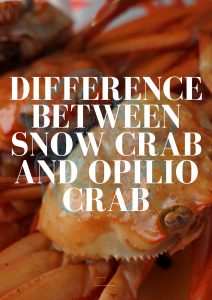 snow crab vs opilio crab