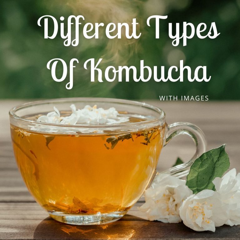 4 Different Types Of Kombucha With Images