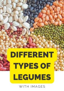 types of legumes