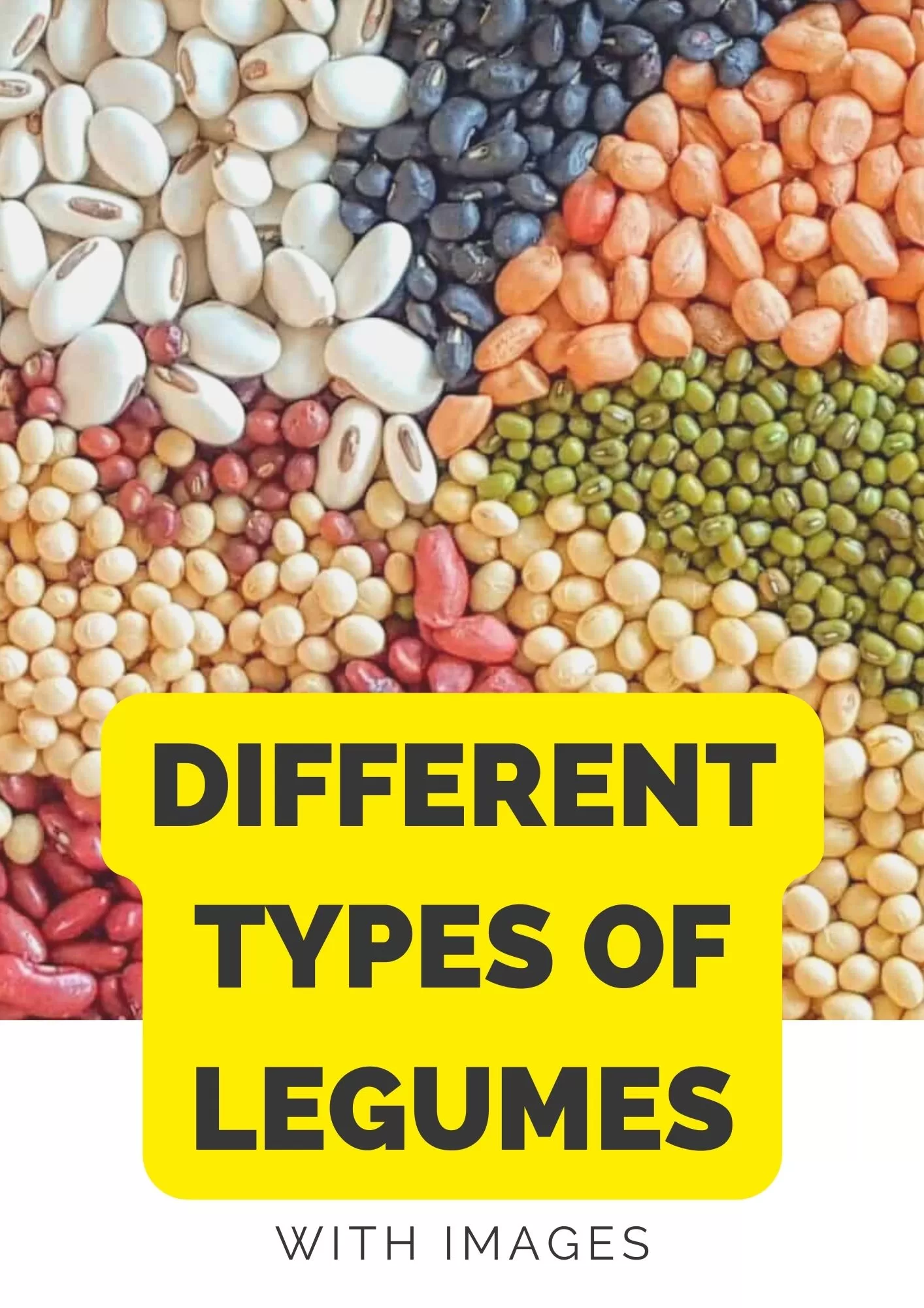 types of legumes