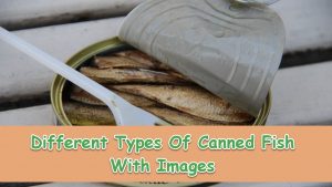 Types Of Canned Fish