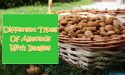 15 Different Types Of Almonds With Images