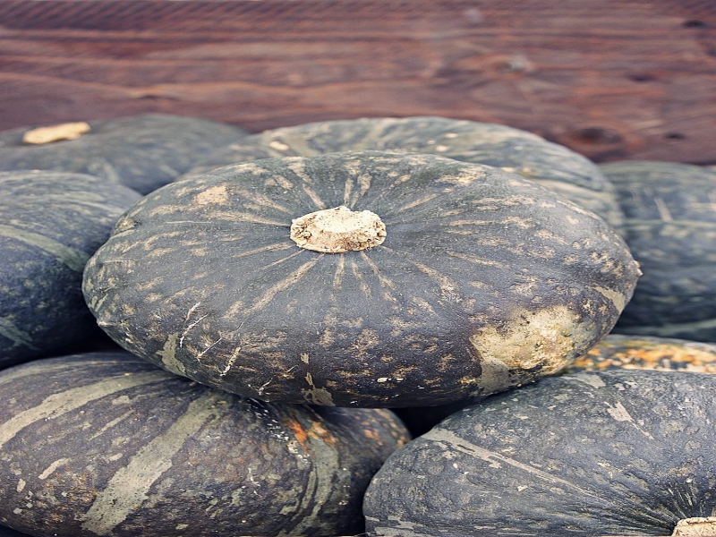 Kabocha