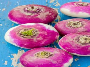 20 Different Types Of Turnip With Images - Asian Recipe