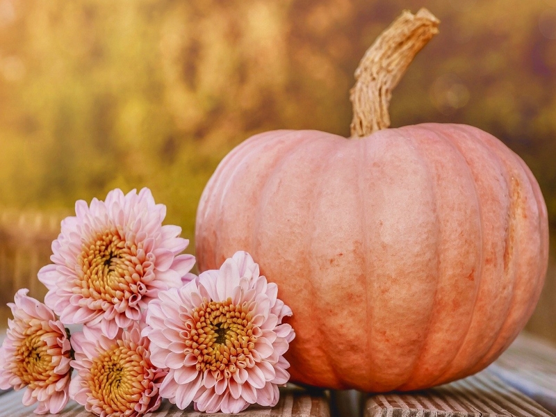 New England Cheddar Pumpkin