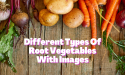 10 Different Types Of Root Vegetables With Images
