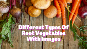 Types Of Root Vegetables