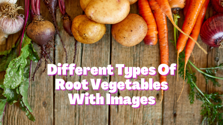 10 Different Types Of Root Vegetables With Images