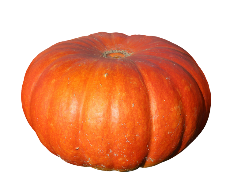 Pumpkin