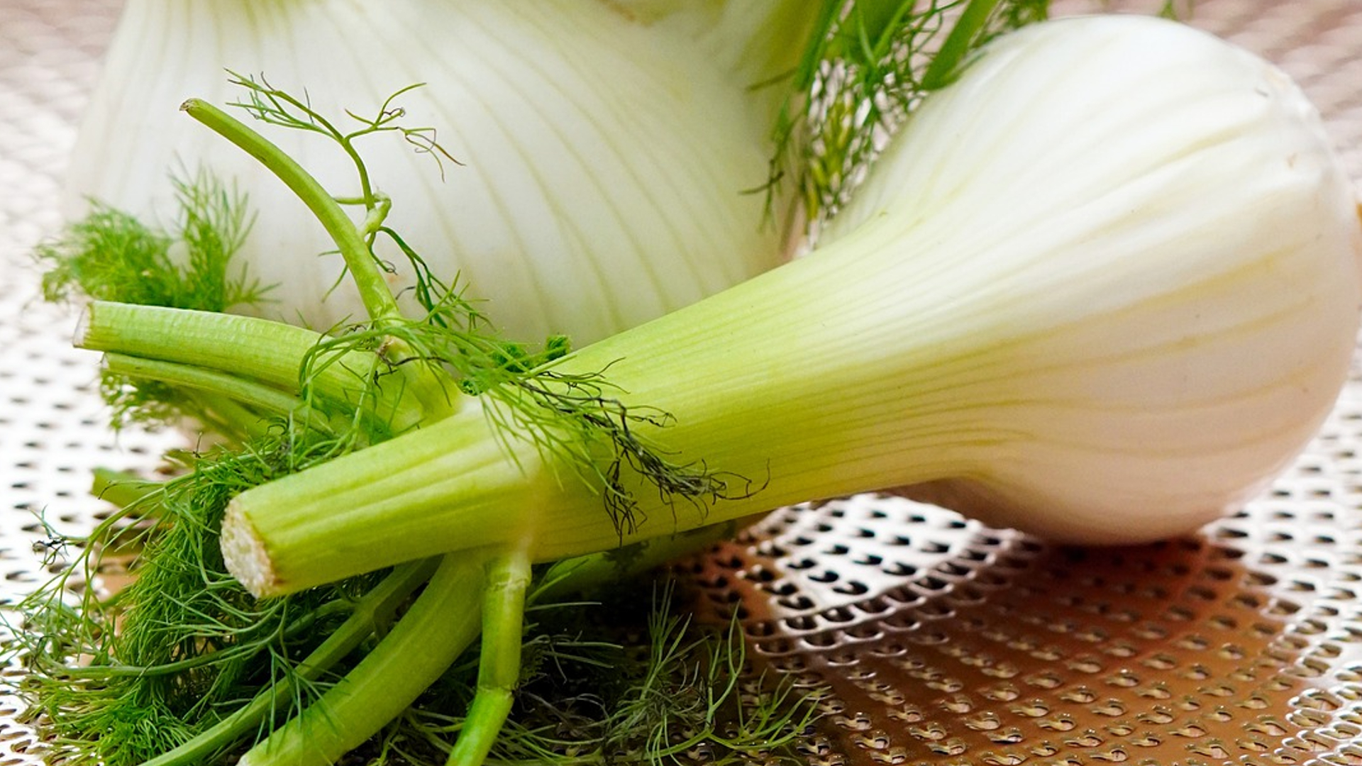 Fennel