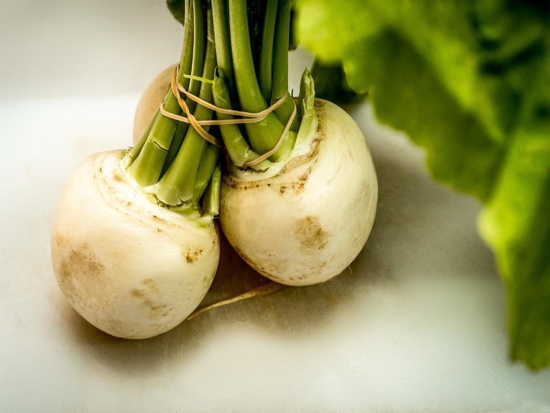 Baby Bunch Turnips