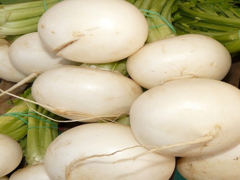 White Egg Turnip